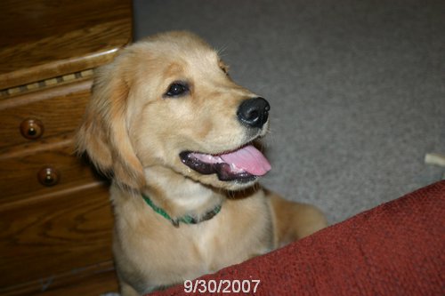 2007 October 035.jpg